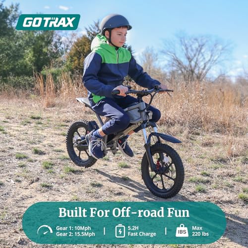 Gotrax Astra Electric Dirt Bike 16" Tires 350W Motor Dual Suspension Black