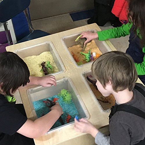 Whitney Brothers Mobile Sensory Table with Trays Natural UV