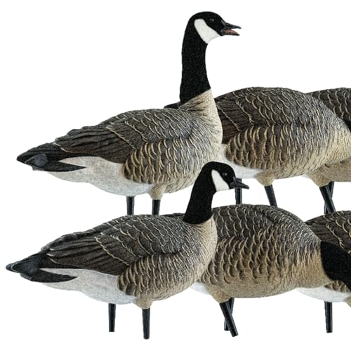 Avian-X Lessers 6 Piece Fusion Goose Decoy Set Multicolor