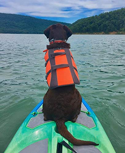 Perception Kayaks Hi Life 11 Sit on Top Kayak Hybrid SUP Stand up Paddle Board 11' - Déjà vu