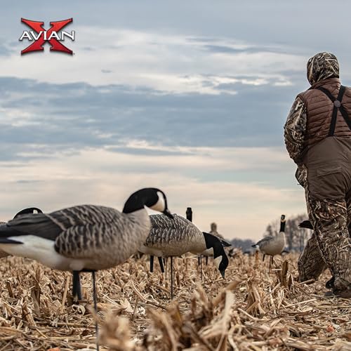 Avian-X AXP Honkers Full Body Realistic Goose Decoy with Sentry Walker Set Multicolor