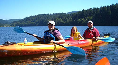 Old Town Dirigo Tandem Plus Recreational Kayak Sunrise