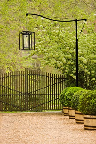Hinkley Max Extra Large Outdoor Hanging Lantern - Estate Series, 1-Light Transitional, Clear Glass, Aluminum - Black