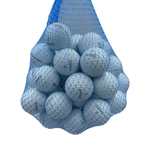 Golf Ball Planet Pro V1 2023 4A/Near Mint Used Golf Balls White