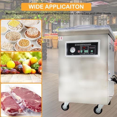HayWHNKN Single Chamber Vacuum Packaging Machine 20inch Sealing Bar Silver