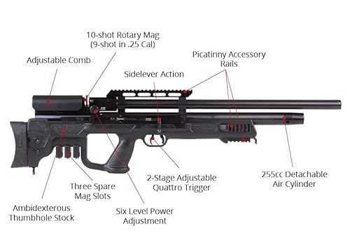 Wearable4U Hatsan Gladius .22 Cal Air Rifle Bundle with 100x Targets & 250x Pellets