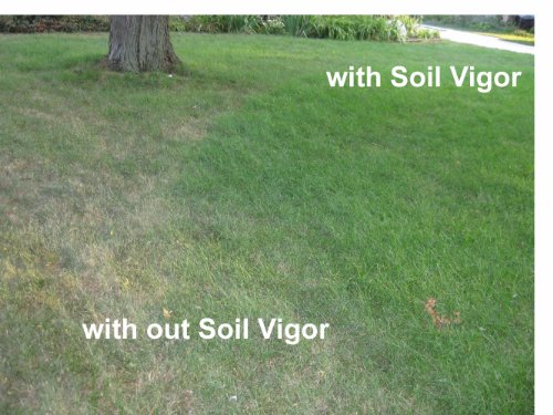 Soil Vigor Potassium Super Absorbent Polymer 45 Pounds