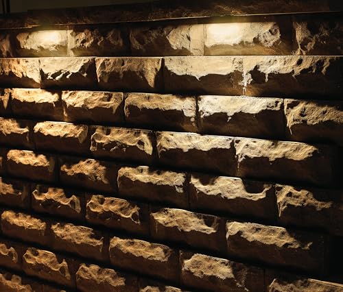 Hinkley Landscape Lighting Nuvi Medium Hardscape Lights Set of 10 Bronze