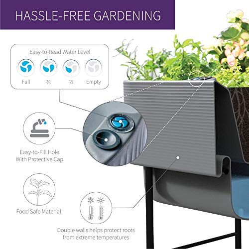 Crescent Garden Nest Indoor/Outdoor Raised Garden-Bed Planter Box 22-Inch x 44-Inch Olive
