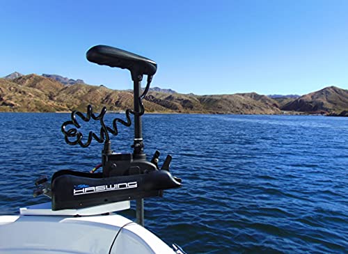 PARKHO HASWING Electric Trolling Motor 24V 80LB 60 Inch Shaft White w/ Remote Control + Foot Controller
