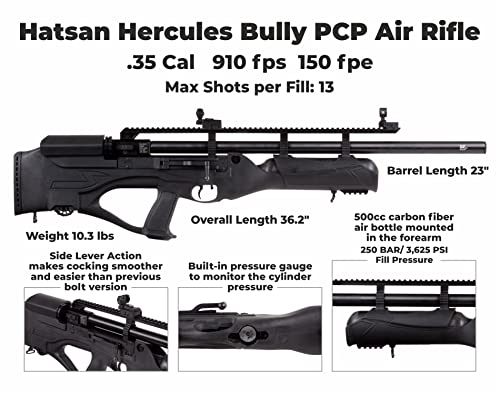 Wearable4U Hatsan Hercules Bully .35 Cal Air Rifle Bundle with 100 Pellets and Targets Black