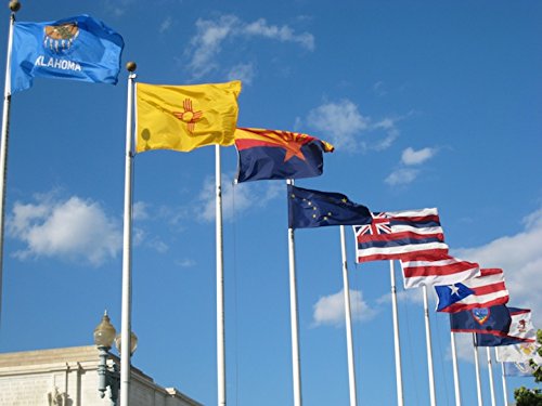 Flagline 50 US States 3' x 5' Nylon Flag Set