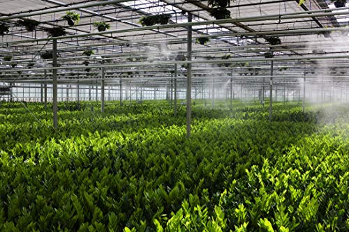 Mistcooling Automatic Greenhouse Humidification System with Humidity Controller 150 Ft - 15 Nozzles