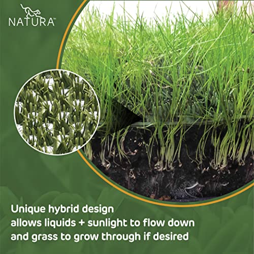 Natura Outdoor Artificial Grass for Dogs 3x45 ft Green