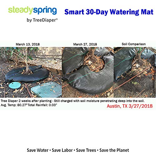 SteadySpring 24" Smart Tree Watering Mat Auto Refills Rain Slow Release Technology