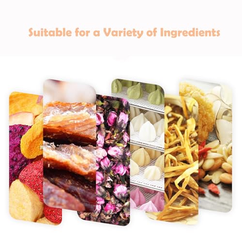 INTSUPERMAI 40 Layer Stainless Steel Food Dehydrator Machine