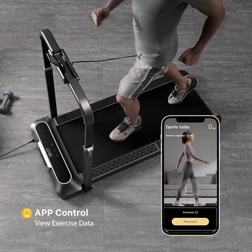 WalkingPad R2 Folding Treadmill Black