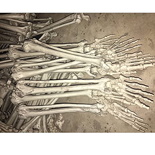 zhangzhejun Horror Skeleton Bones Halloween Props