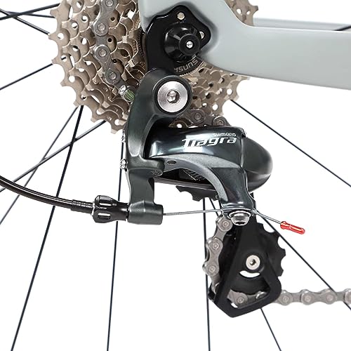 Hearts Bio Carbon Road Bike Model H Tiagra 20s - HeartsGray