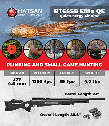 Wearable4U Hatsan BT65SB Elite Quiet Energy .177 Cal Air Rifle Bundle with 500 Pellets & 100 Targets