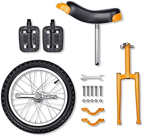 JINCAN Unicycle 20-Inch Balance Bicycle with Anti-Skid Tires