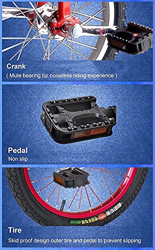 JINCAN 24" Unicycle Freestyle Cycling Pedal Bicycle Outdoor Balance Sports