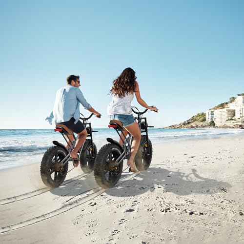 EOSBIKE JANSNO Electric Bike for Adults 20" x 4.0 Fat Tire Electric Bicycle Black