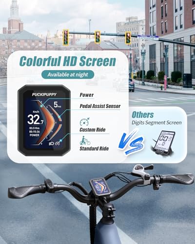 PUCKIPUPPY Electric Bike 960W 48V 15AH 28MPH 26" Fat Tire Grayish Blue