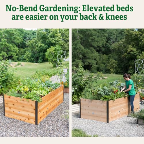 Gardener's Supply Company Elevated Cedar Raised Garden Bed 4' x 8' Brown