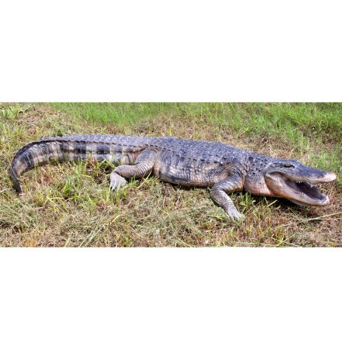 Design Toscano Stalking Swamp Predator Alligator Garden Statue Full Color