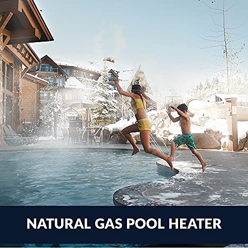 Hayward Pool Heater 200,000 BTU W3H200FDN Tan