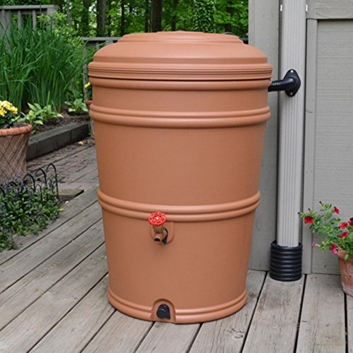 EarthMinded Rain Station 45 Gallon