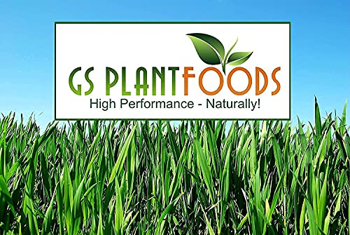 GS Plant Foods Organic Liquid Humic Acid Concentrate 275 Gallon Drum