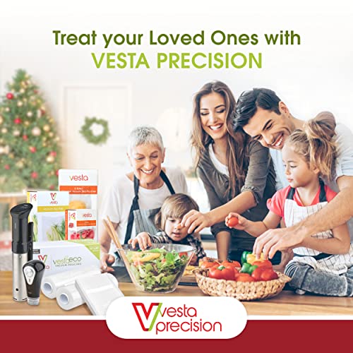 V Vesta Precision Chamber Vacuum Sealer C20v High-Speed 1100-Watt Oil Pump
