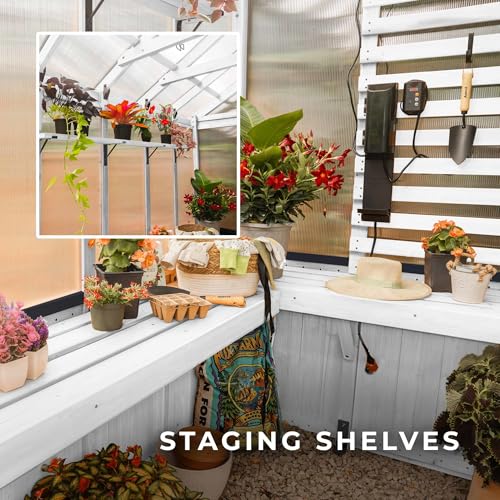 Backyard Discovery Bellerose Walk-in Greenhouse Kit White