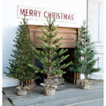 Park Hill Collection Tree Lot Third-Year Faux Seedling Trees Set of 3 Brown Green