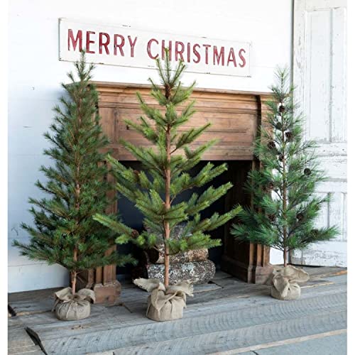 Park Hill Collection Tree Lot Third-Year Faux Seedling Trees Set of 3 Brown Green