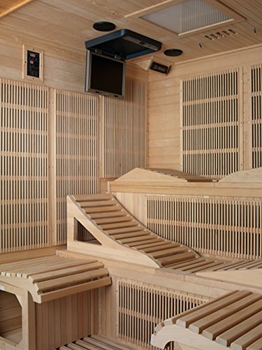 DYNAMIC SAUNAS Monaco 6-Person Near Zero EMF Far Infrared Sauna Canadian Hemlock
