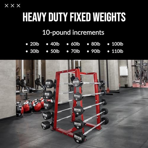 Mayhem Strength Fixed Straight Weight Barbell Set - Strength Training Equipment