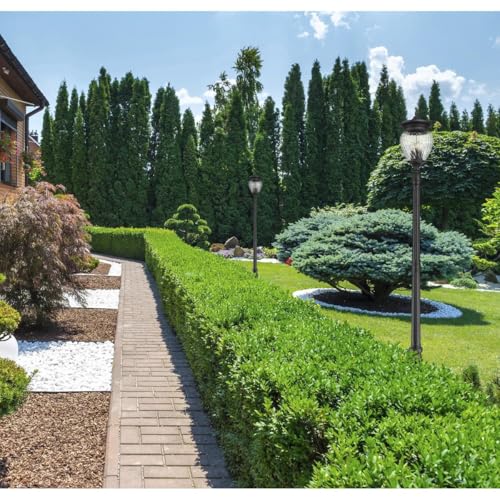 Z-Lite Davina 4 Light Post Light 108" Black