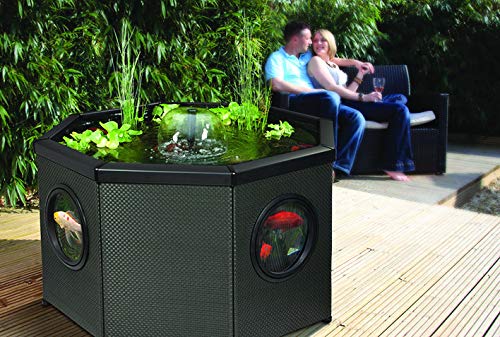 Aquagarden Complete Raised Window Pond Kit - Octagon Mocha