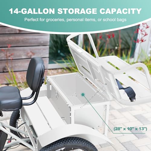 EMOJO Bull 8.5" Low Step Through Electric Tricycle 500W 7-Speed Ivory