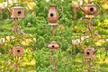 Zaer Ltd. Copper Colored Teapot Birdhouse Garden Stakes Set of 6