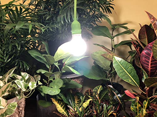 Miracle LED Smokephonics Indoor Grow Light Kit - Double Plant Yield - Full Spectrum 150W Replacement Bulbs with 4-Socket Fixture & Timer (8-Pack)