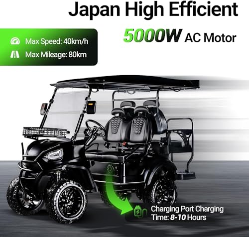 StandbyMe Golf Cart Electric 48V 5000W AC Motor 18 Inch Off Road Tires Black
