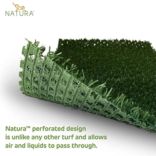 Natura Outdoor Artificial Grass for Dogs 3x45 ft Green