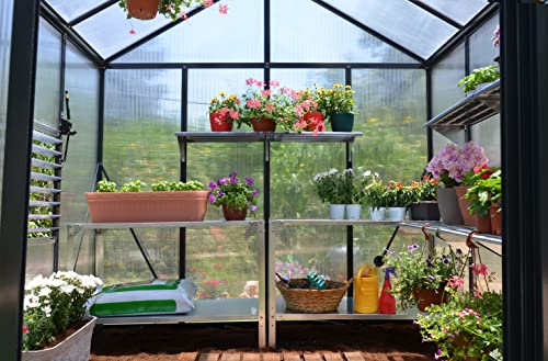 Palram Canopia Glory 8x12 Ft. Greenhouse Kit with Lockable Door and Vent Gray