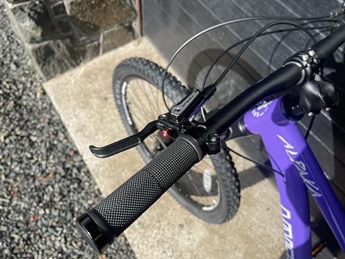 EB Eastern Bikes Ladies Alpaka Mountain Bike Purple