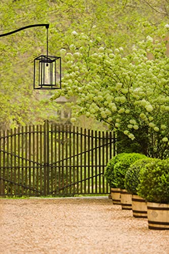 Hinkley Max Extra Large Outdoor Hanging Lantern - Estate Series, 1-Light Transitional, Clear Glass, Aluminum - Black