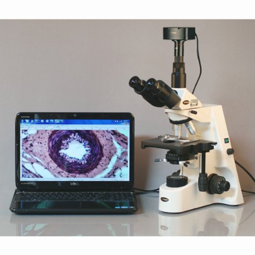 AmScope Digital Trinocular Compound Microscope 40X-2500X with 5MP Camera